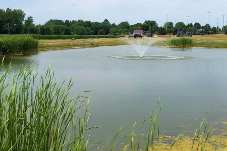 Community Park Pond 1.jpg