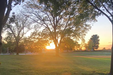 Community Park Sunset.jpg