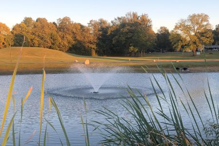 Community Park Pond 2.jpg