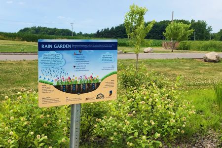 Community Park Rain Garden.jpg