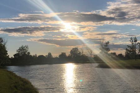 Foker Park Sunrays.jpg